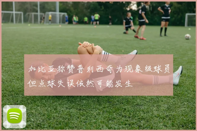 加比亚称赞普利西奇为现象级球员但点球失误依然可能发生